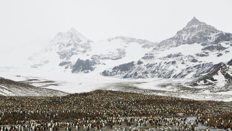 NNLSJILUN5CQFOFX6NHEXZMB2A