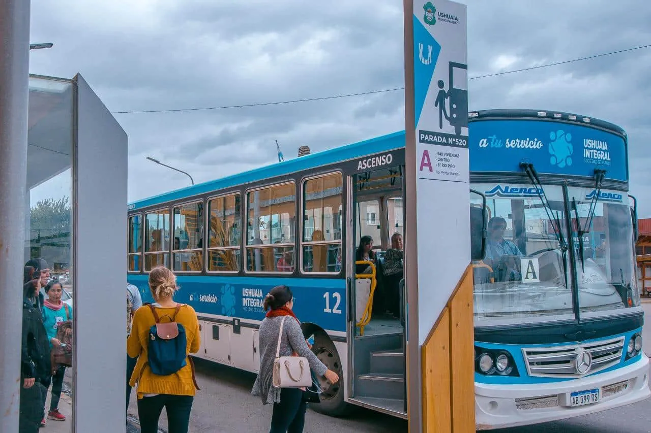 Colectivos5