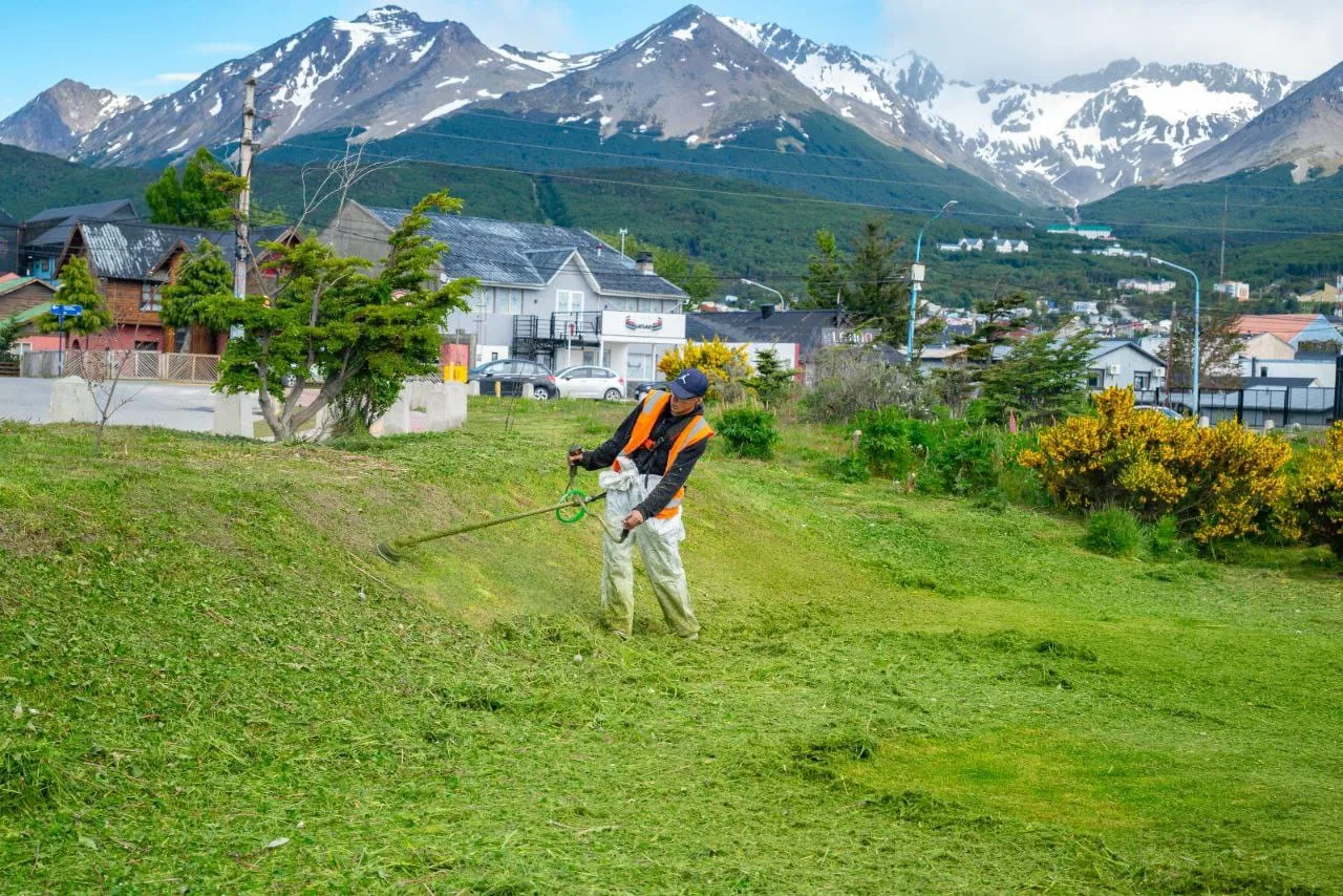 ca79dbd8-c4cc-4fde-bafa-d1605bf4f56c