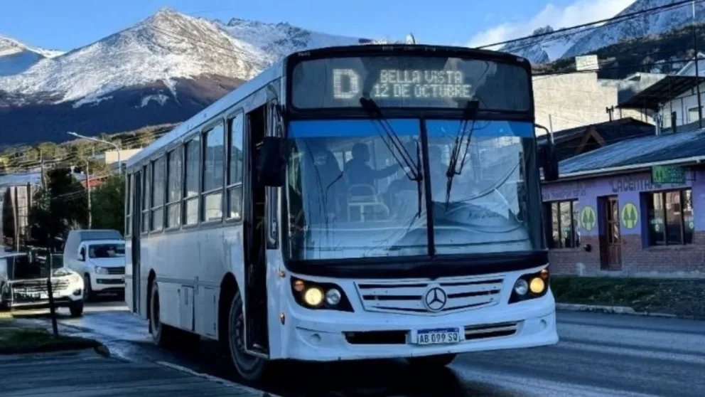md (1)