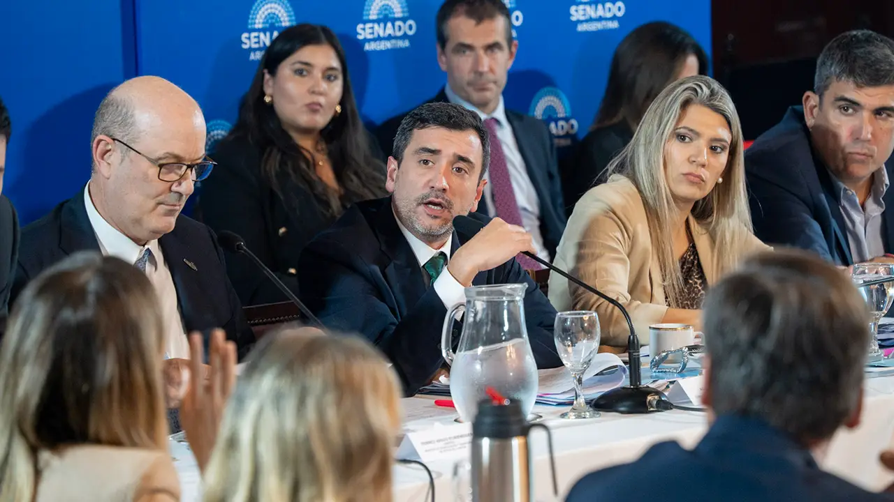 LLA-Senado-2-NOTICIAS-09ABR2025