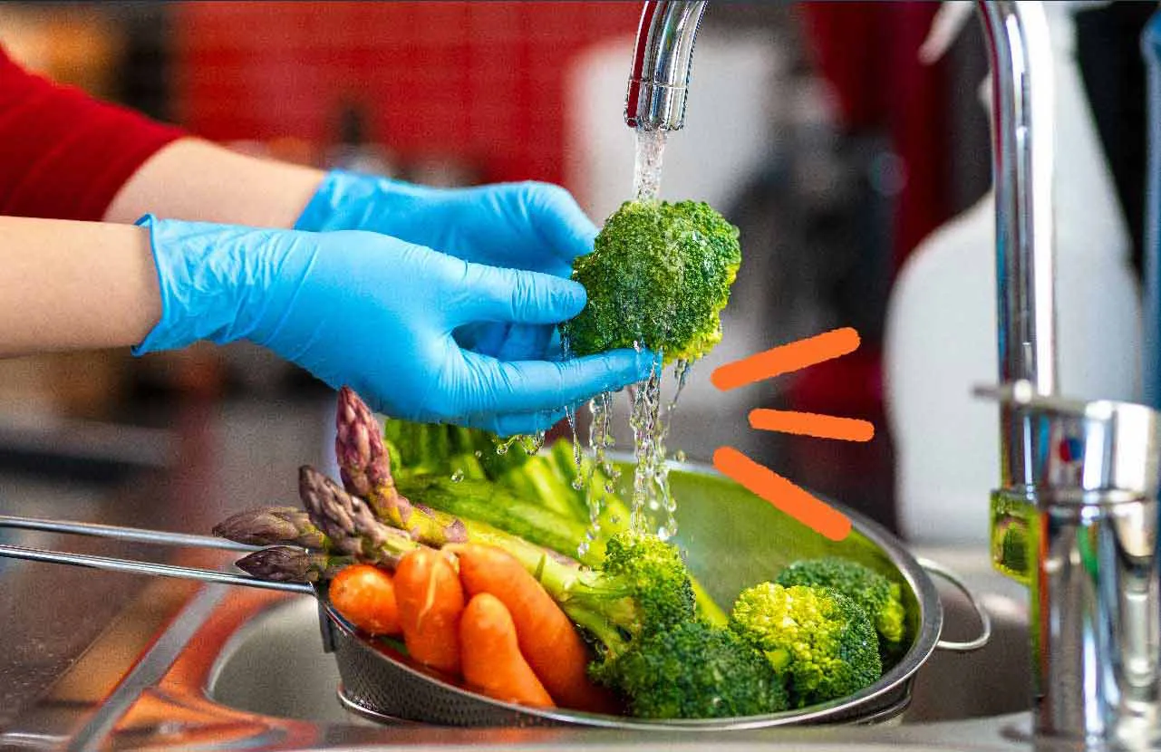 ALIMENTOS