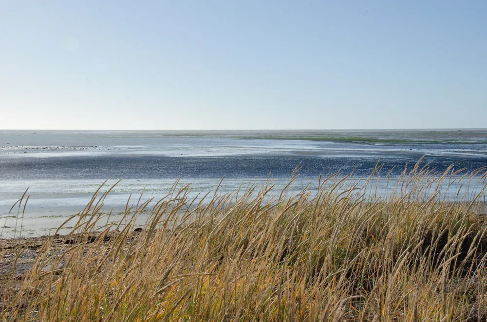 5. Costa Atlántica de Tierra del Fuego