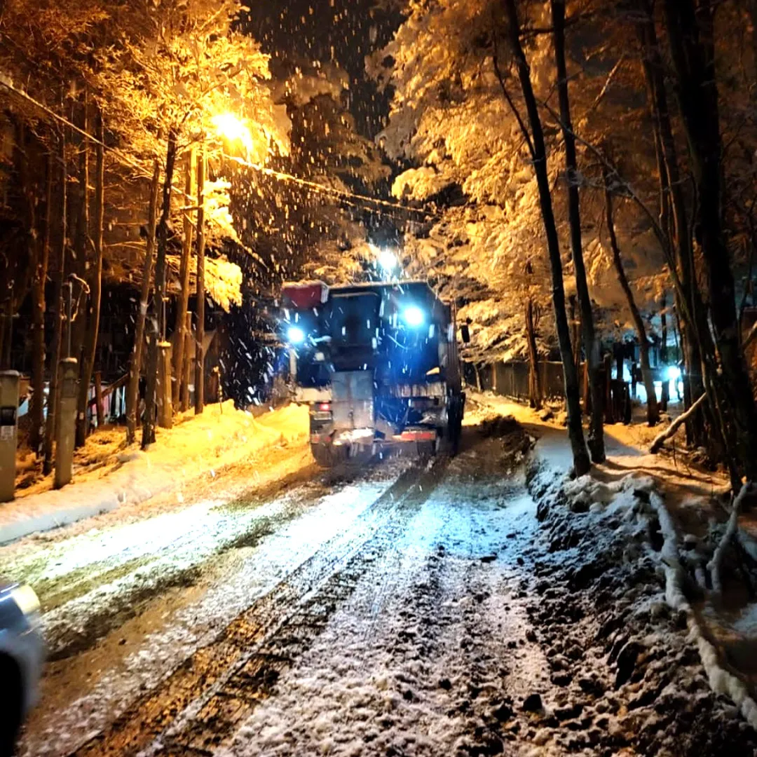 97ff42fd-783a-4c49-8648-9d193ab26d22