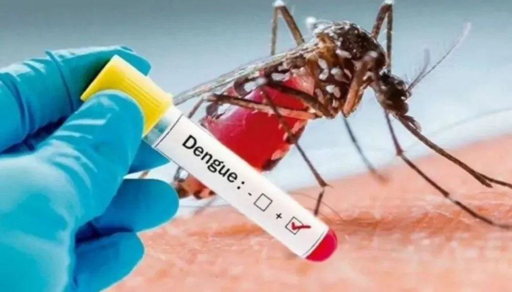 20240904110912bea4023441229cb725f61a4fb406752c