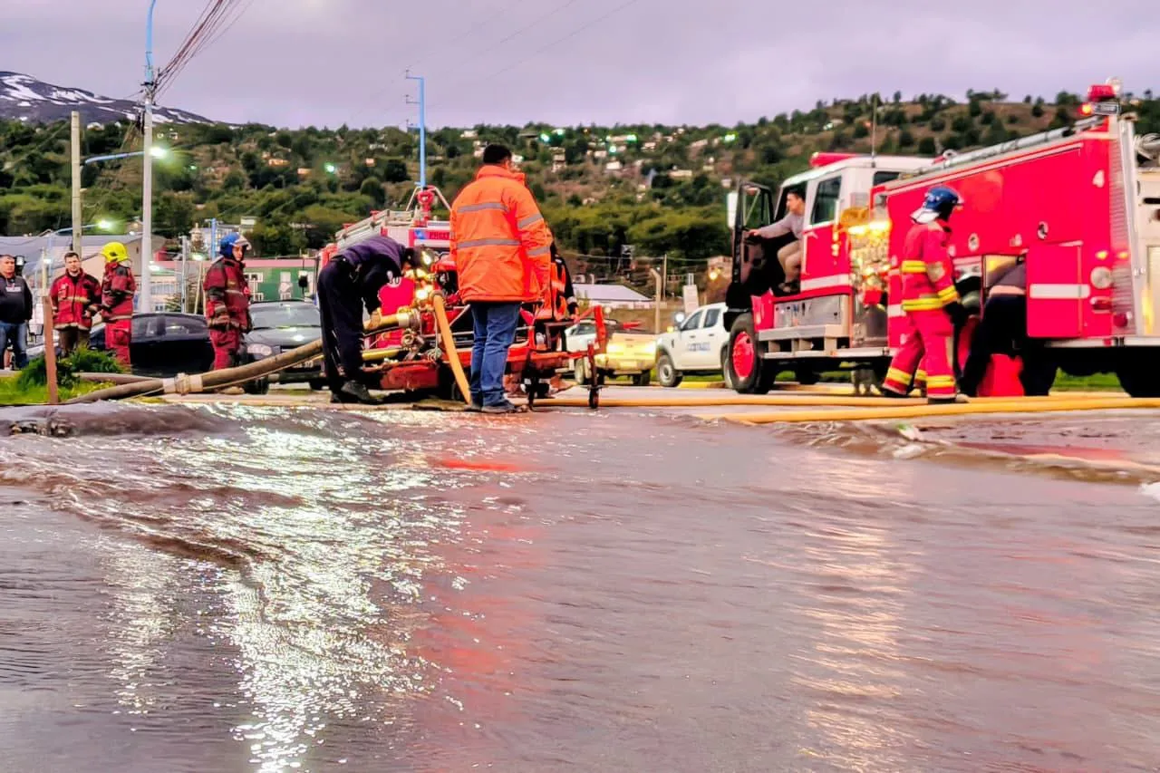 8dd7638b-e546-4144-be3b-7994237043fa