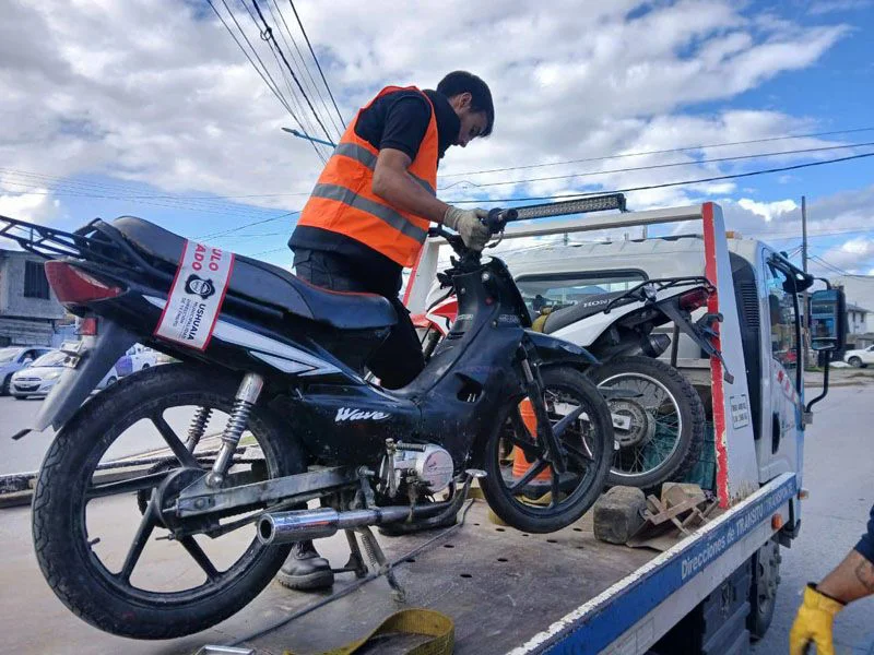 20260317095158c568651aacd996cc9c7788bd8bf6b30b