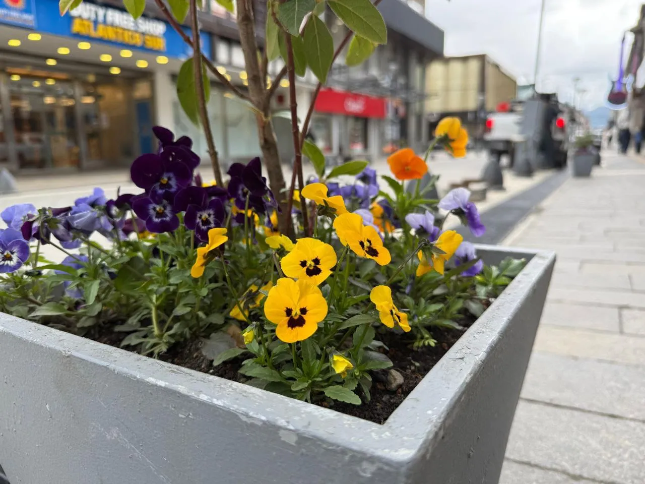 8a16b0ff-a17e-4594-bb8c-ede02739a31d