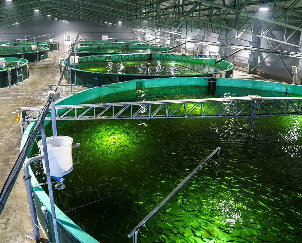 sistemas-de-cultivo1